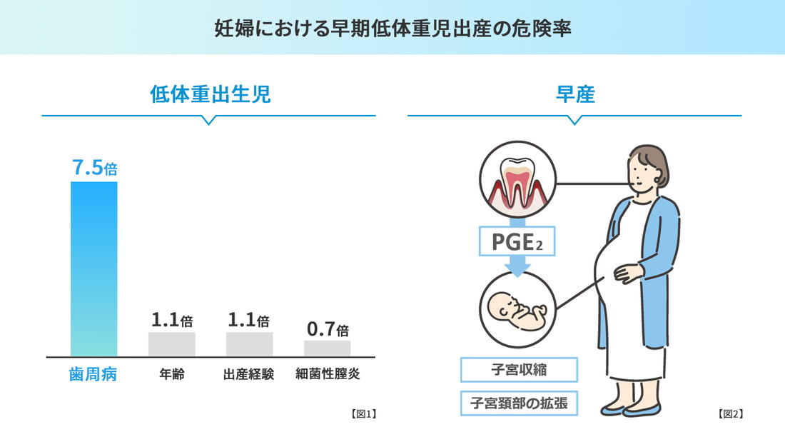 妊婦における早期低体重児出産の危険率