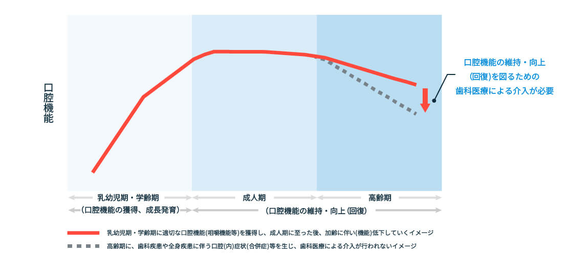 口腔機能 加齢 グラフ