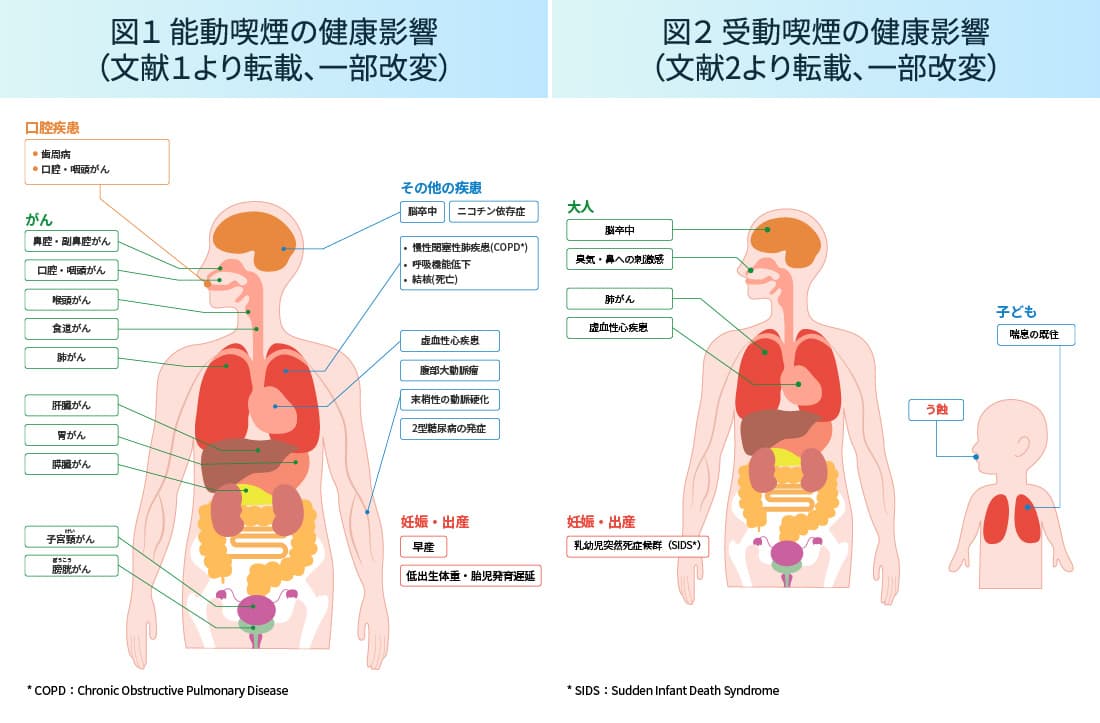 図1 能動喫煙の健康影響（文献1より転載、一部改変） 図2 受動喫煙の健康影響（文献2より転載、一部改変）